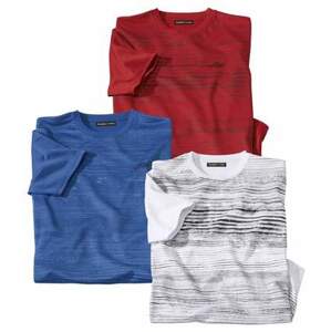 Sada 3 polyesterových triček Sportmen